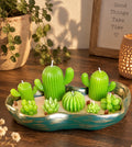Set Velas Cactus y Suculentas - vista frontal