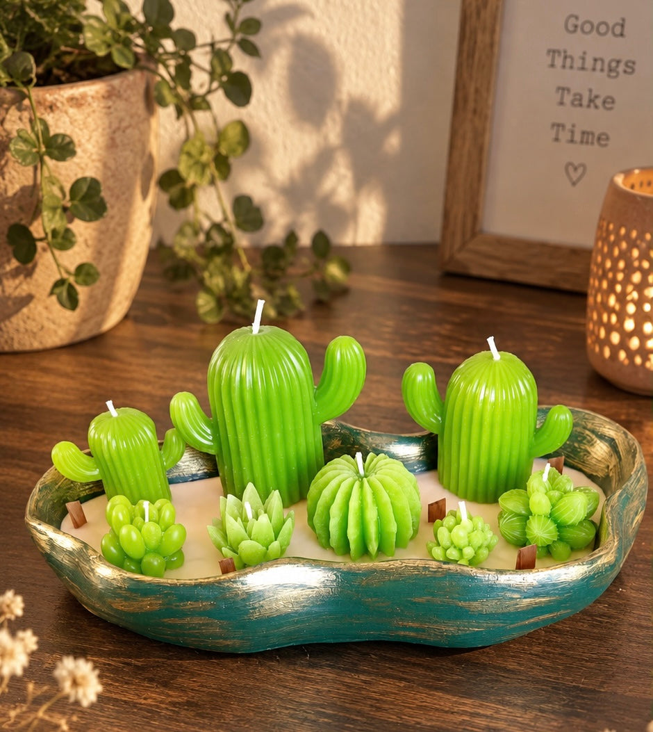 Set Velas Cactus y Suculentas - vista frontal
