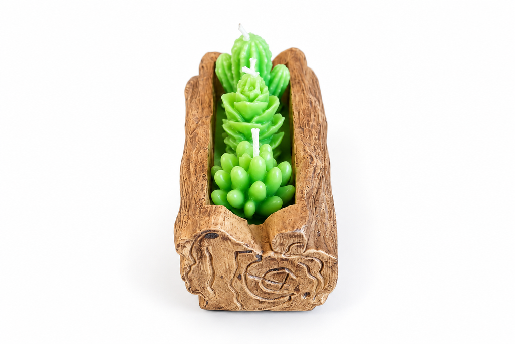 Set de velas cactus en soporte de madera – vista trasera