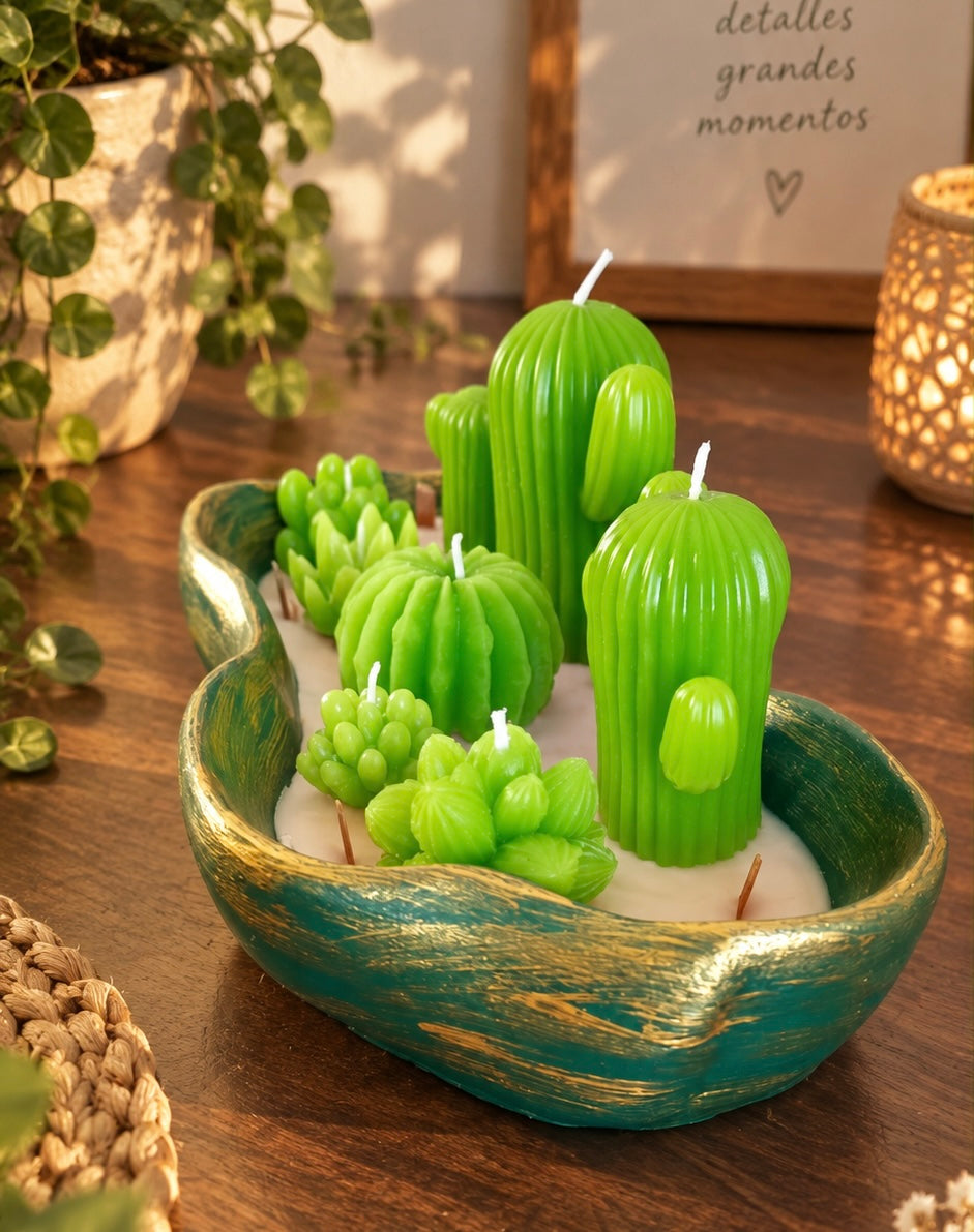 Set Velas Cactus y Suculentas - vista lateral