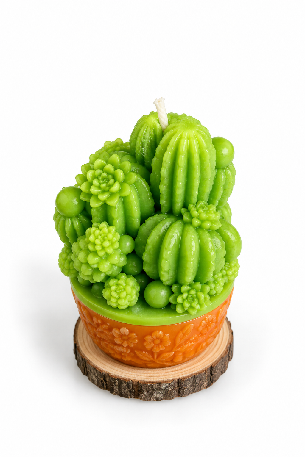 Vela Cactus
