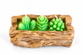 Set de velas cactus en soporte de madera – vista frontal